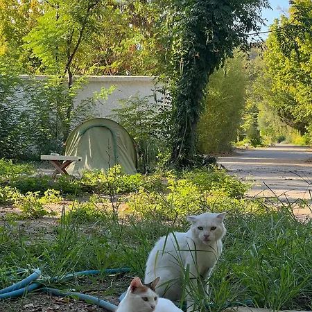 Phaselis Ekopark * 케메르