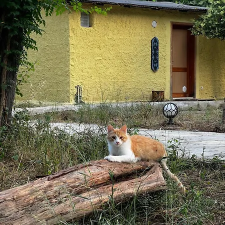 Phaselis Ekopark קמר