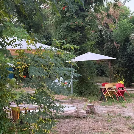 Phaselis Ekopark * קמר