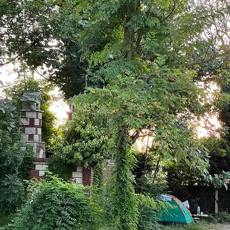 Campingplads Ekopark *